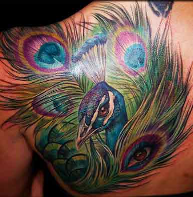 tatuaje pavo real